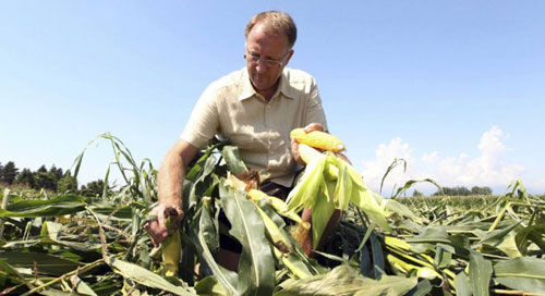 Америка "продавливает" ГМО в Сербии
