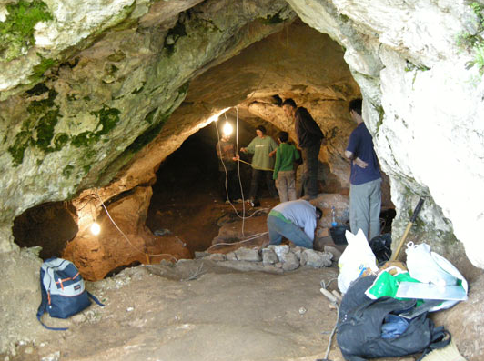 На Балканах обнаружены останки Homo erectus