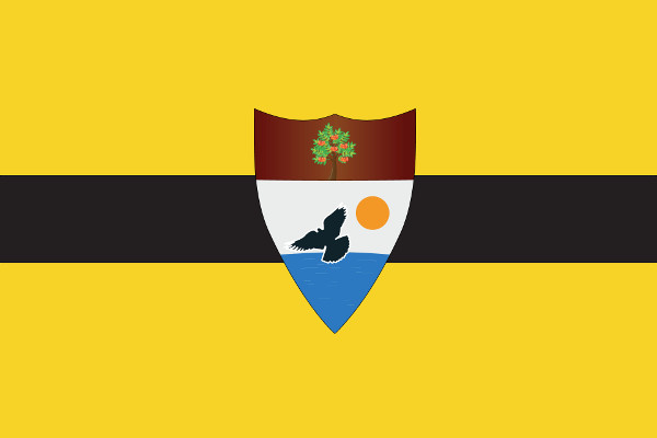 Флаг «Свободной Республики Либерленд»