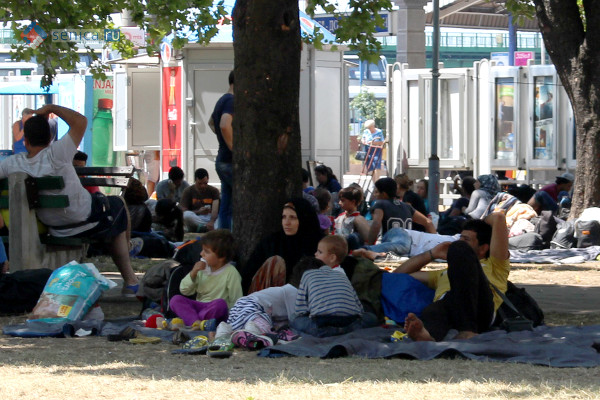 Нелегальные мигранты в центре Белграда