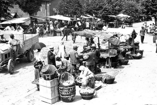 Рынок Црвени крст в Белграде