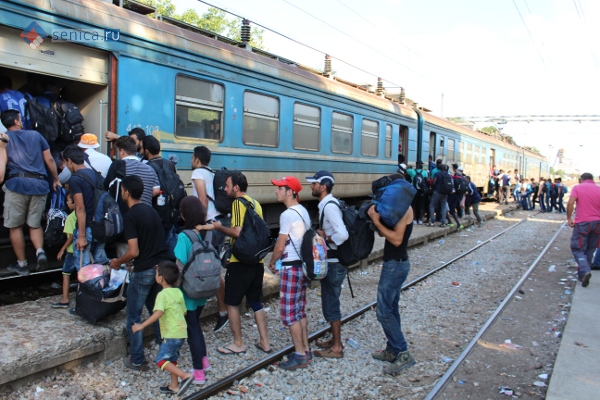 Мигранты заходят в поезд