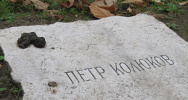 Кладбище воинов-освободителей в Белграде превращается в площадку для выгула собак